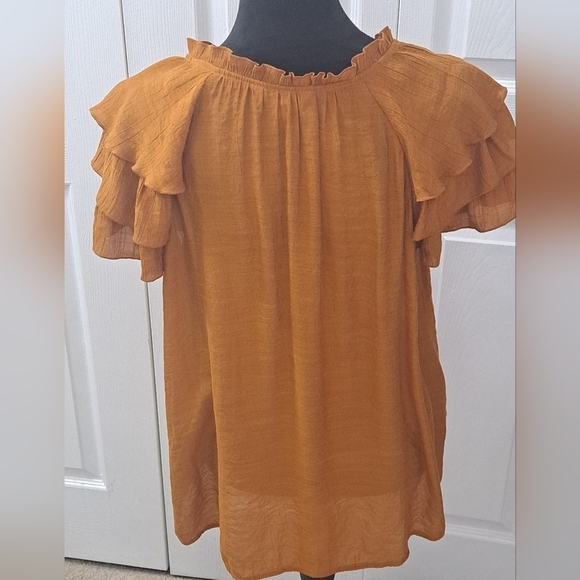 Nanette Lepore Semi Sheer Tiered Ruffle Sleeve Tunic/Top   Size L - Picture 4 of 14
